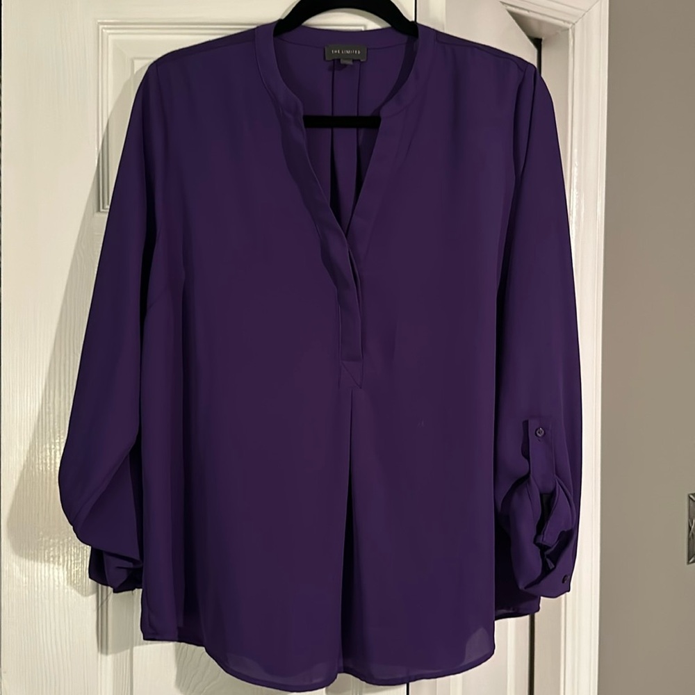 The Limited Blouse
